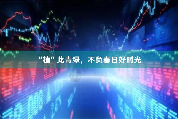 “植”此青绿，不负春日好时光